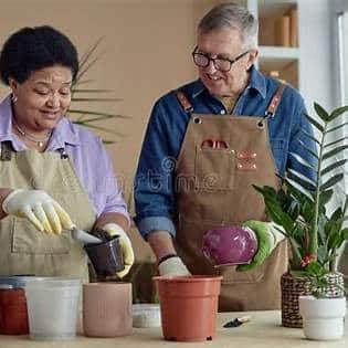 Making the Most of Your Golden Years